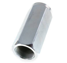 G 1-1/2'' Hydraulik-Rückschlagventil Stahl 0.7-300 Bar (10.15-4350 Psi)