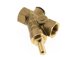 Rp 1/2'' Brass Y Check Valve 16 bar (232 psi) NBR