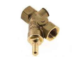 Rp 1/2'' Brass Y Check Valve Drinking Water 10 bar (145 psi) EPDM