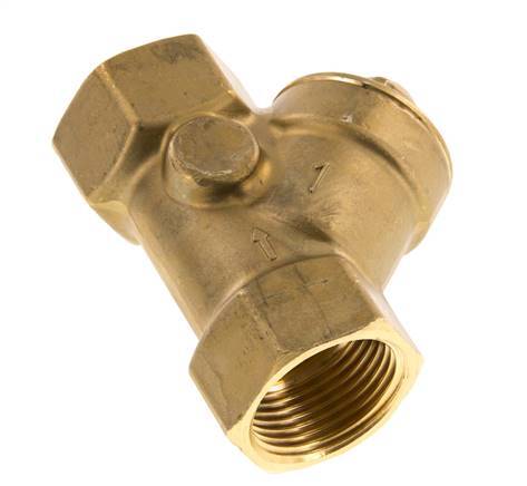 Rp 1'' Brass Y Check Valve 10 bar (145 psi) NBR