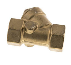 Rp 1'' Messing Schrägsitz-Rückschlagventile 10 Bar (145 Psi) FKM