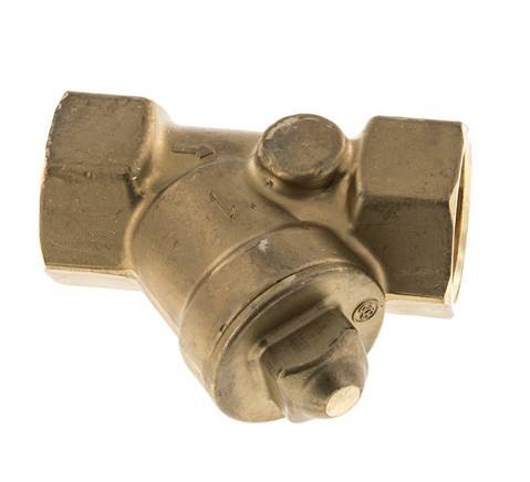 Rp 1'' Messing Schrägsitz-Rückschlagventile 10 Bar (145 Psi) FKM