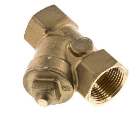 Rp 1'' Messing Schrägsitz-Rückschlagventile 10 Bar (145 Psi) FKM