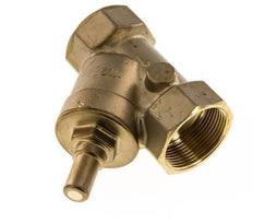 Rp 1-1/2'' Messing Schrägsitz-Rückschlagventile 10 bar (145 psi) FKM