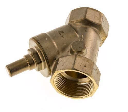 Rp 1-1/2'' Messing Schrägsitz-Rückschlagventile 10 bar (145 psi) FKM