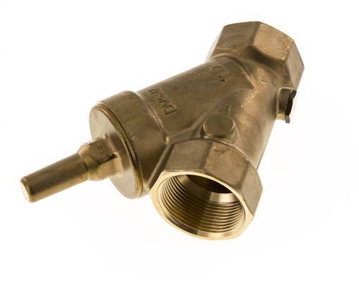 Rp 2'' Brass Y Check Valve 10 bar (145 psi) FKM