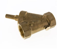 Rp 2'' Messing Schrägsitz-Rückschlagventile 10 Bar (145 Psi) FKM