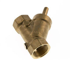 Rp 2'' Brass Y Check Valve 10 bar (145 psi) FKM