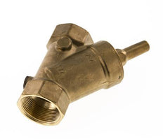 Rp 2'' Messing Schrägsitz-Rückschlagventile 10 Bar (145 Psi) FKM