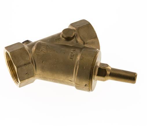 Rp 2'' Messing Schrägsitz-Rückschlagventile 10 Bar (145 Psi) FKM