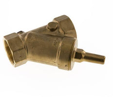 Rp 2'' Messing Schrägsitz-Rückschlagventile 10 Bar (145 Psi) FKM