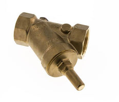 Rp 2'' Brass Y Check Valve 10 bar (145 psi) FKM