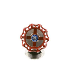G 2'' Edelstahl Schrägsitzventil 40 bar