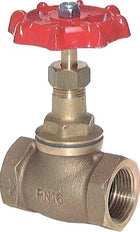 G 2-1/2'' Bronze Globeventil 16 bar